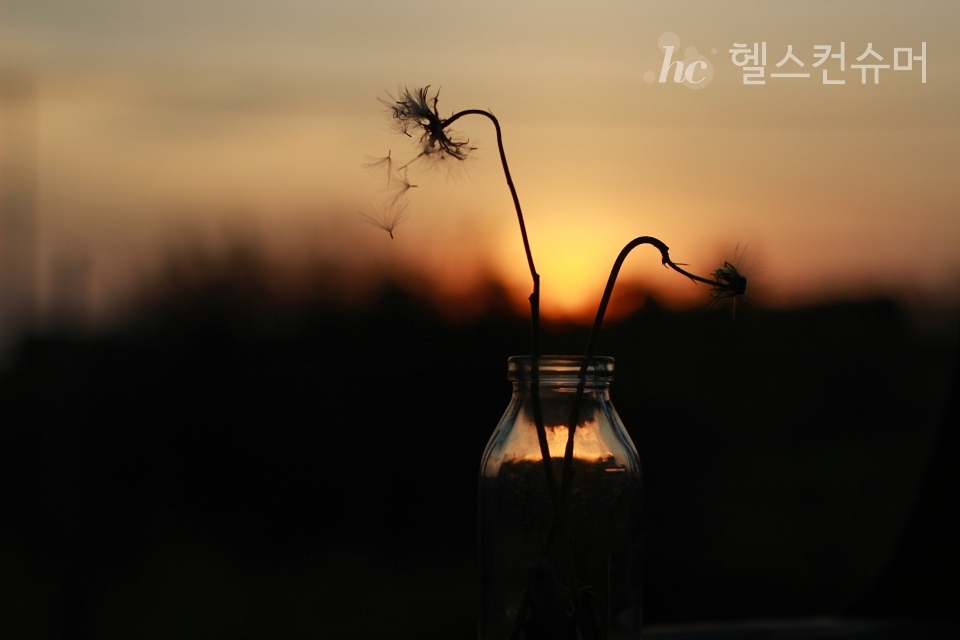 사진제공: 게티이미지 코리아