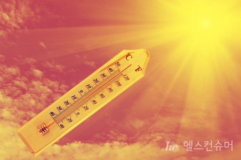 사진제공: 게티이미지코리아