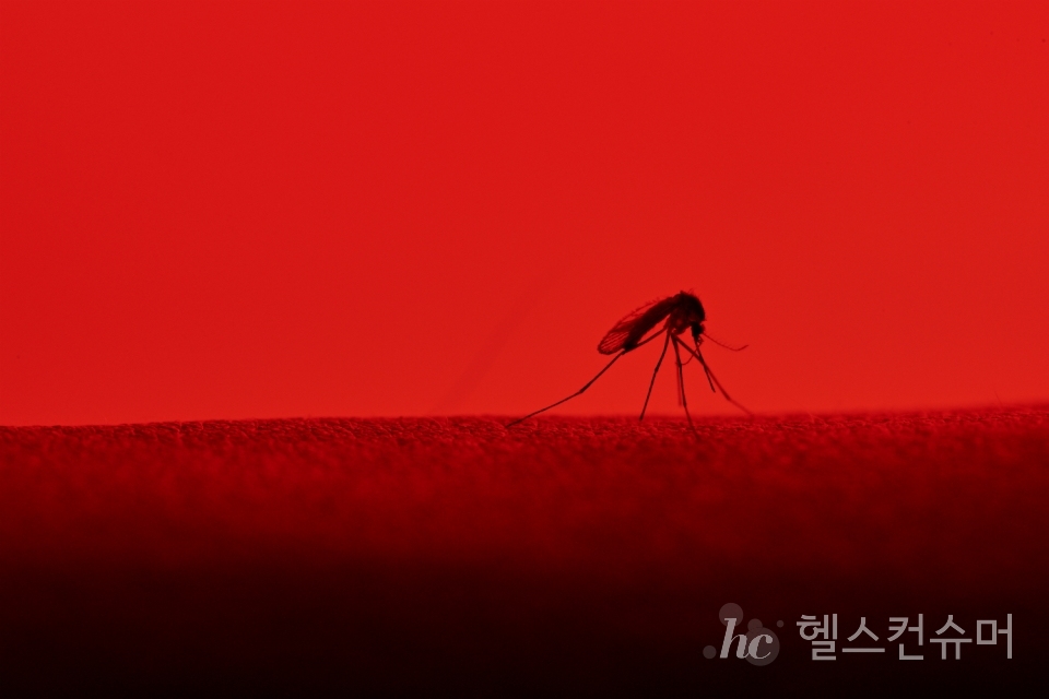 사진제공: 게티이미지코리아