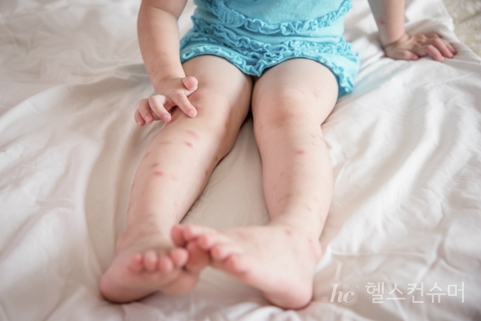 사진제공: 게티이미지코리아