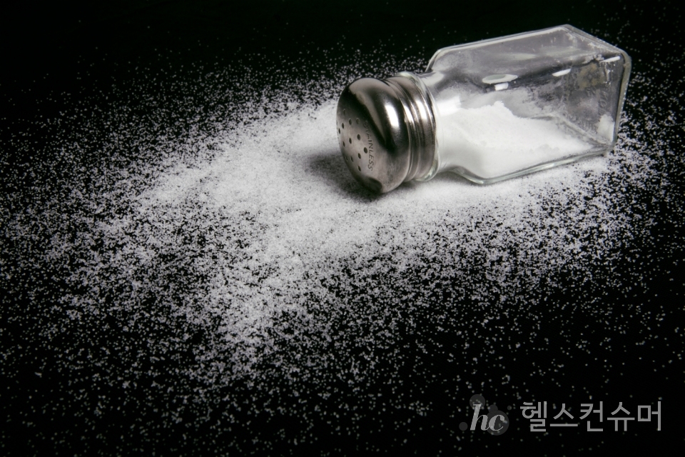 사진제공: 게티이미지코리아