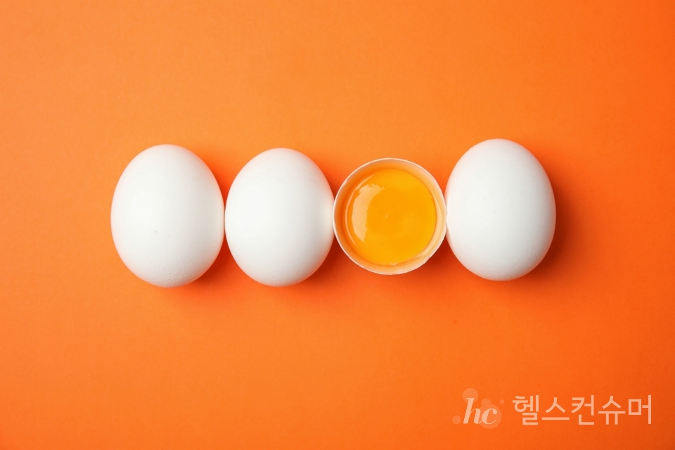 사진제공: 게티이미지코리아