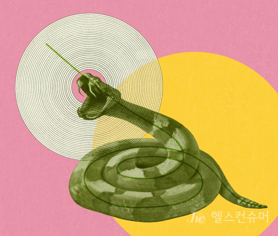 사진제공: 게티이미지코리아