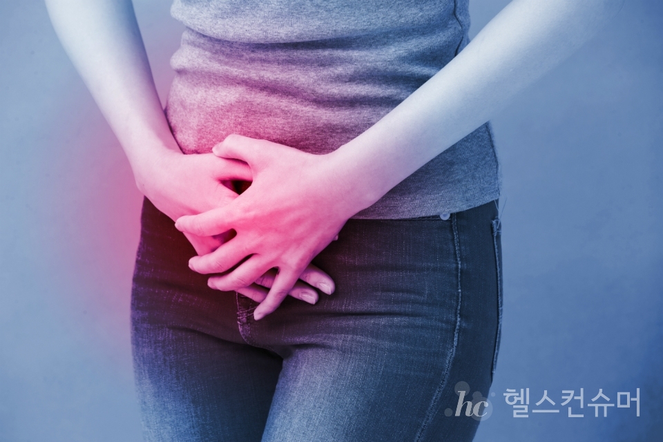 사진제공: 게티이미지코리아