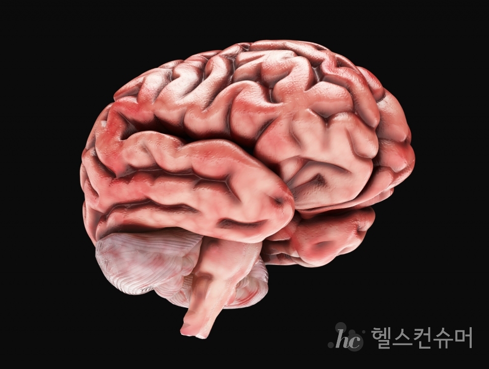 사진제공: 게티이미지코리아
