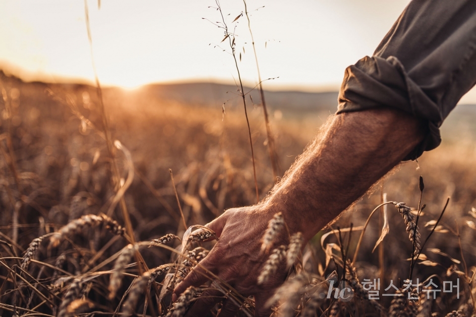 사진제공: 게티이미지코리아