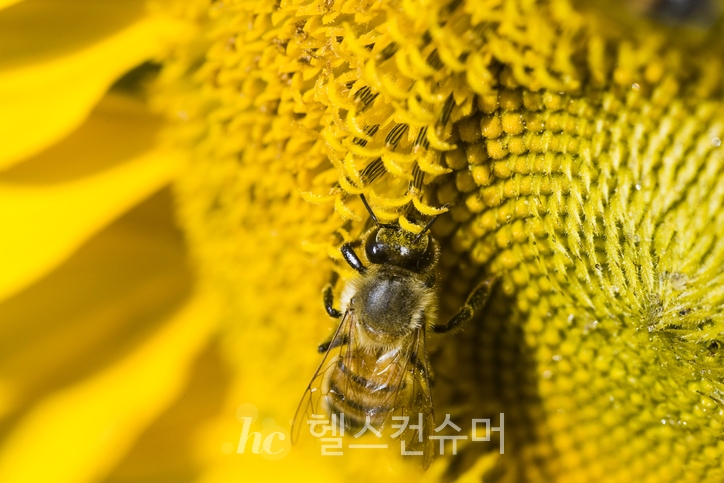 사진제공: 게티이미지코리아