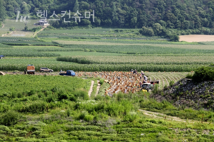 사진제공: 게티이미지뱅크
