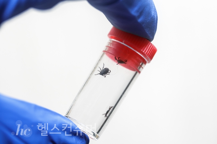 사진제공: 게티이미지뱅크