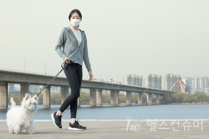 사진제공: 게티이미지코리아