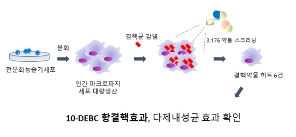 결핵약물 스크리닝 플랫폼 기술 모식도. 자료제공: 보건복지부 질병관리본부