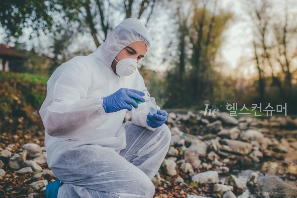 사진제공: 게티이미지코리아