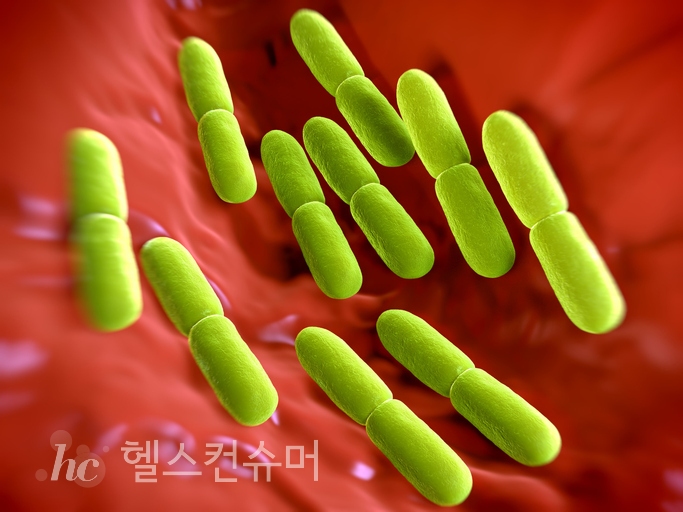 사진제공: 게티이미지코리아
