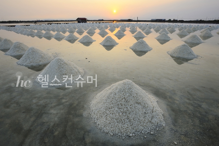 사진제공: 게티이미지코리아