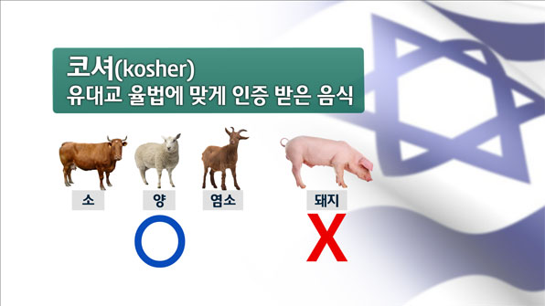사진제공: 김정완