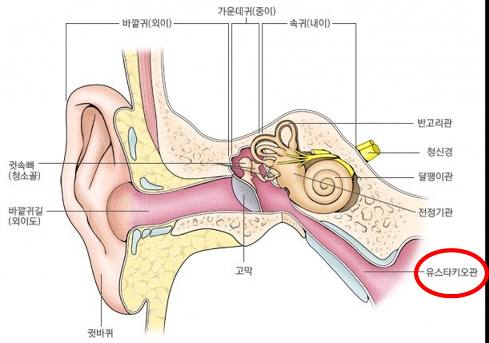 ㅇ