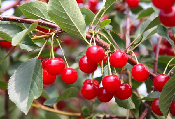 (사진출처) : istockphoto.com