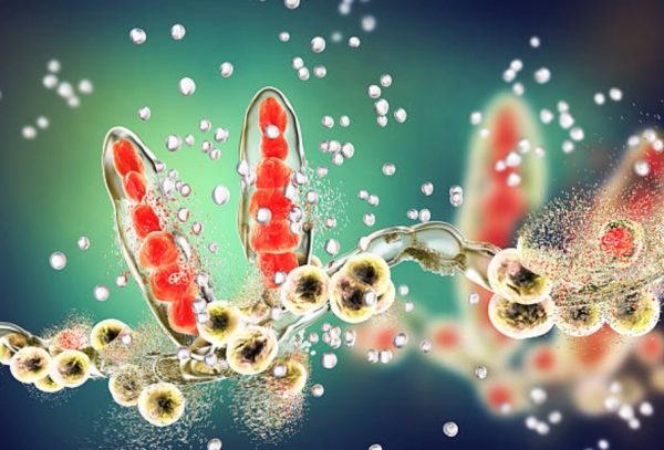 (사진출처) : istockphoto.com