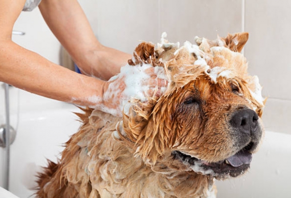 (사진출처) : istockphoto.com