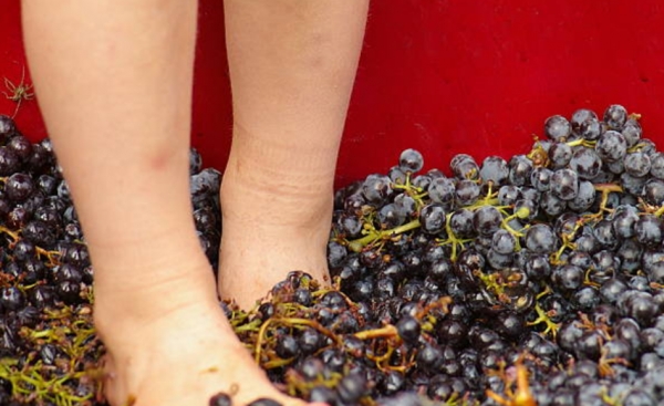 (사진출처) : istockphoto.com