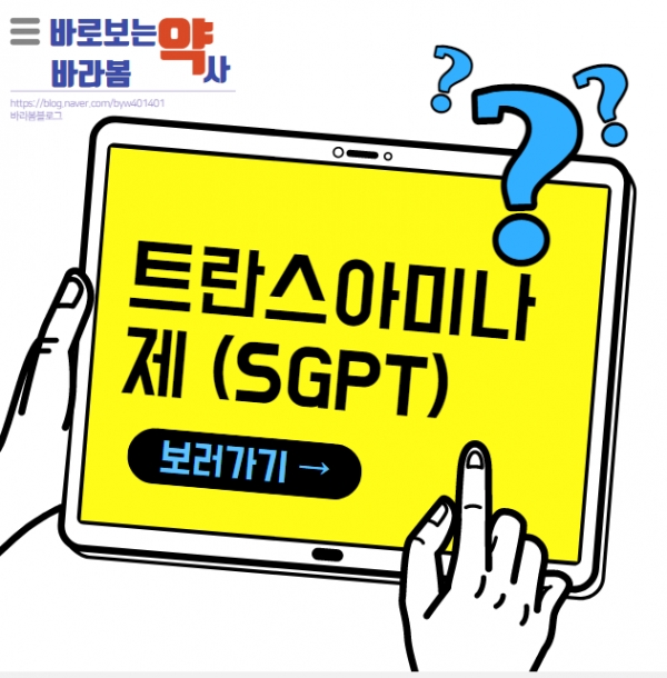 (사진제공) : 배영원 약사전문기자