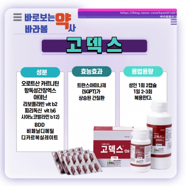 (사진제공) : 배영원 약사전문기자