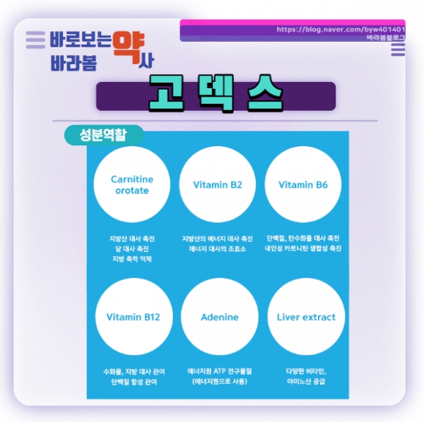 (사진제공) : 배영원 약사전문기자