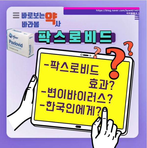 (사진제공) : 배영원 약사전문기자