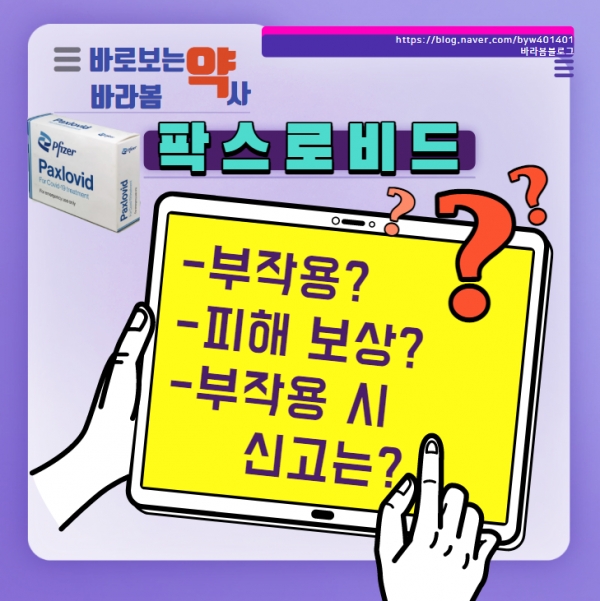 (사진제공) : 배영원 약사전문기자