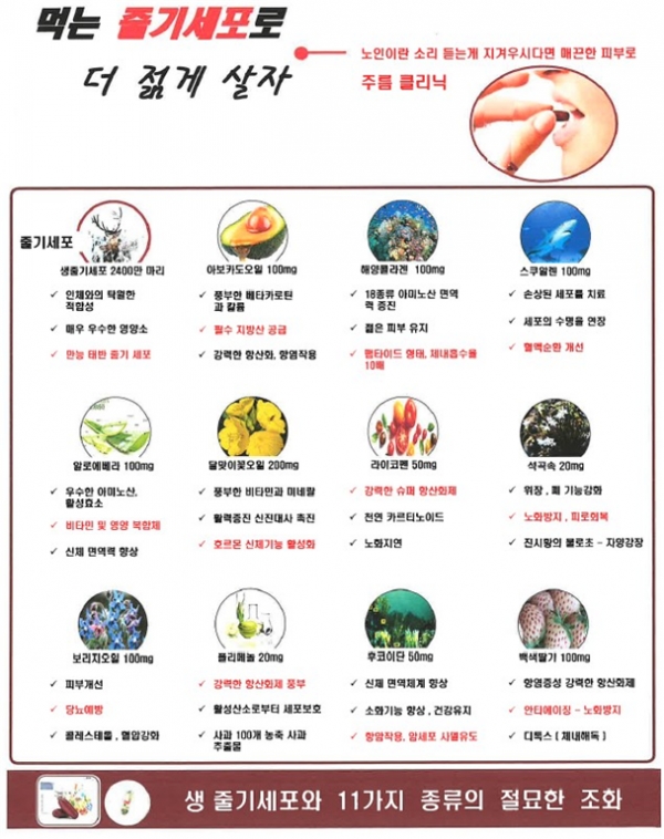 <사슴태반 줄기세포 제품·원료에 대한 주요 부당 광고 내용><br>