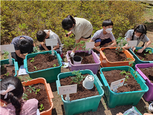 <학교텃밭 프로그램><br>