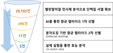 ▲ AI를 통한 유용 펩타이드 선별 과정.<br>